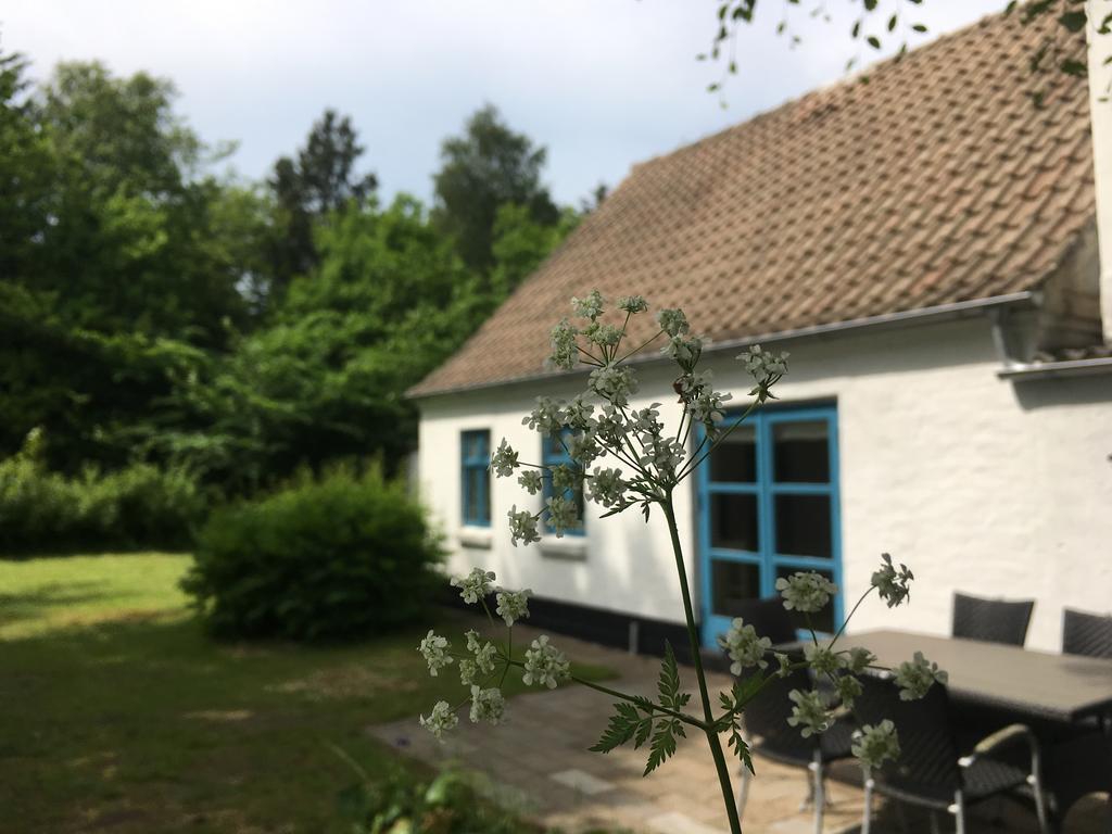 הוילה Uggerby Skovhuset מראה חיצוני תמונה